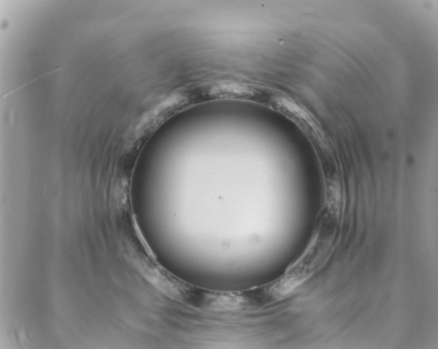 X0000089930621200706291159