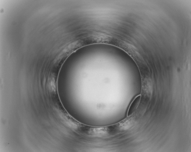 X0000089930622200706291159