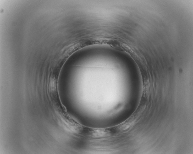 X0000089930623200706291159