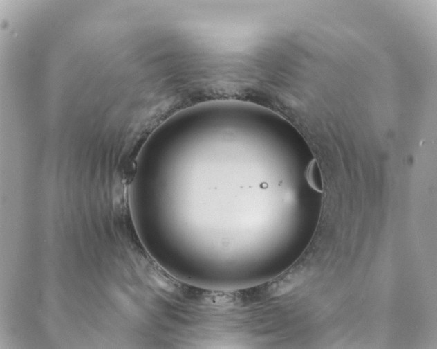 X0000089930624200706291159