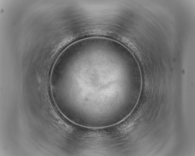 X0000089930625200706291158