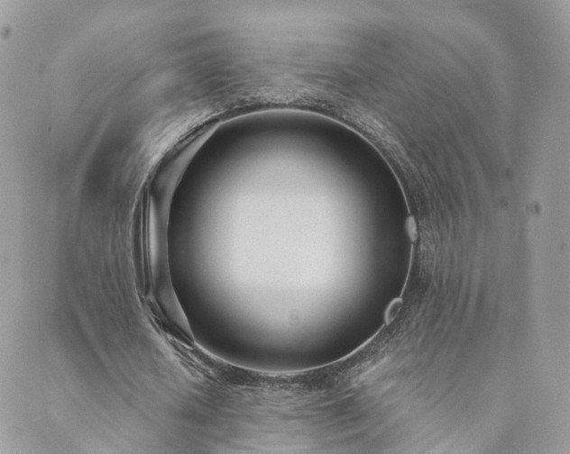 X0000089930626200706291158