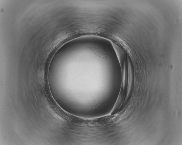 X0000089930627200706291158