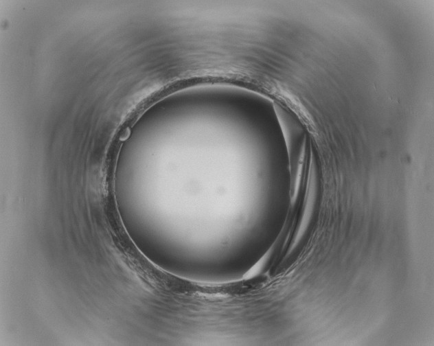 X0000089930628200706291158