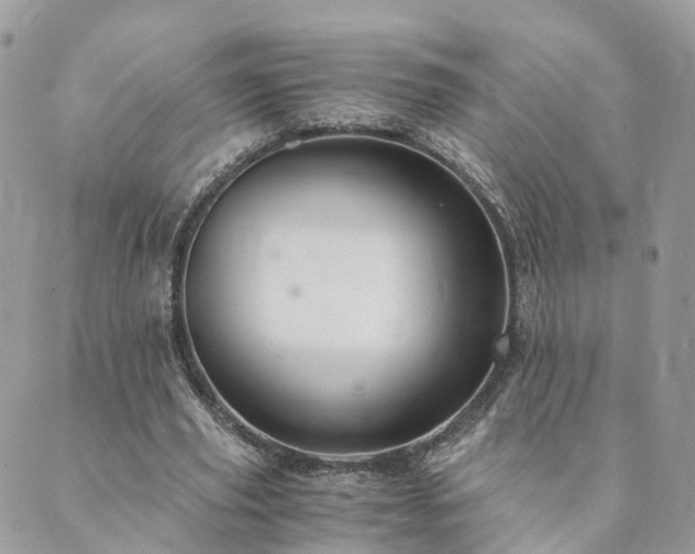 X0000089930629200706291158