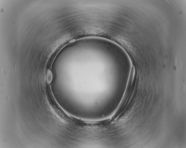 X0000089930630200706291158