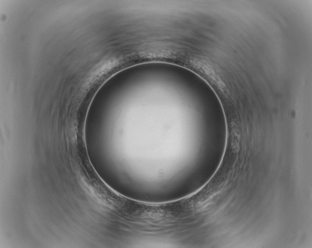 X0000089930631200706291158