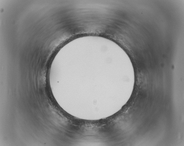 X0000089930632200706291158