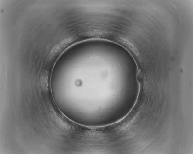 X0000089930633200706291158