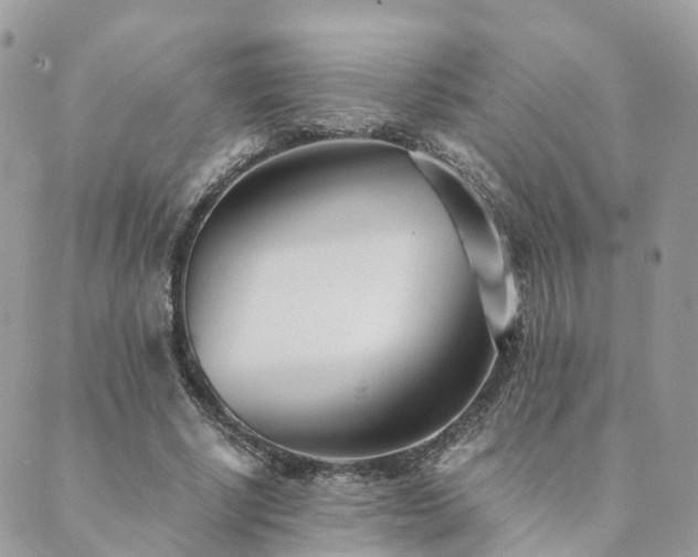 X0000089930634200706291158