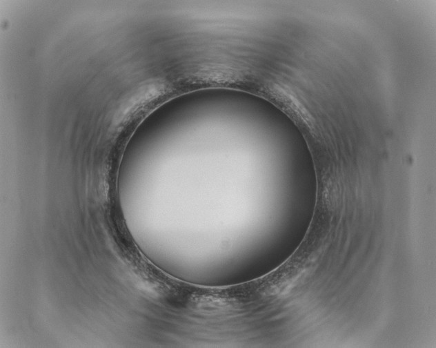 X0000089930635200706291158