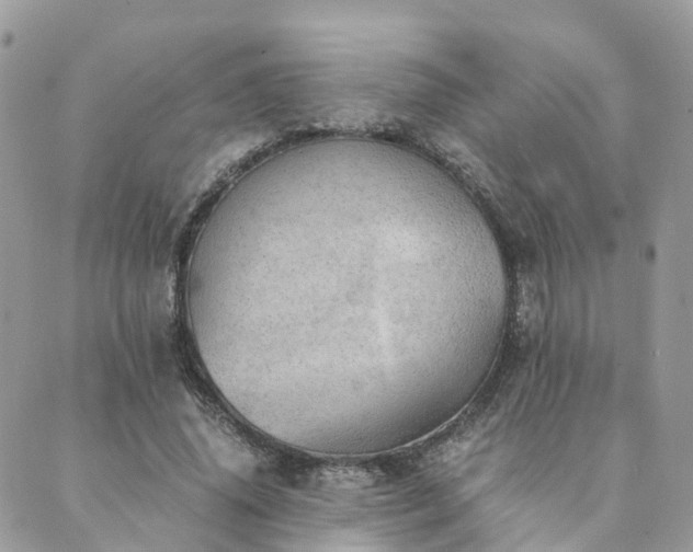 X0000089930636200706291158