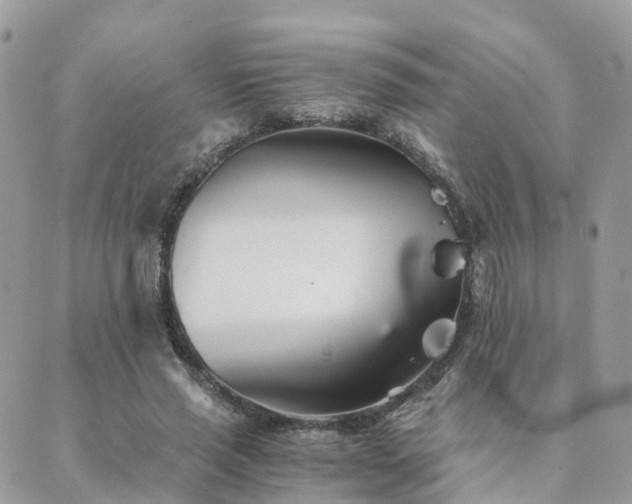 X0000089930637200706291158