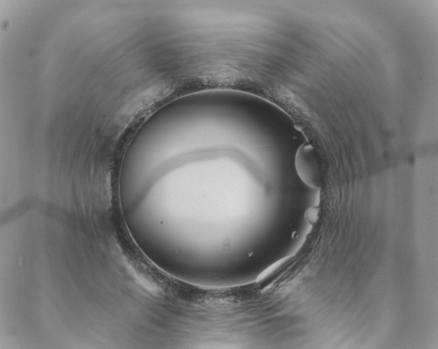 X0000089930638200706291158