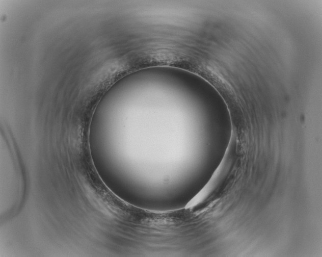 X0000089930639200706291158