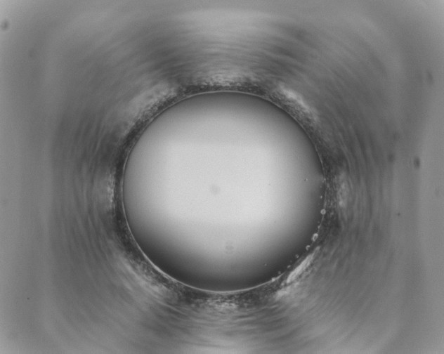 X0000089930640200706291158