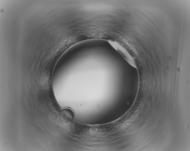 X0000089930641200706291158