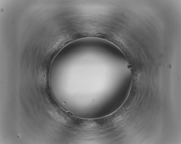 X0000089930642200706291159