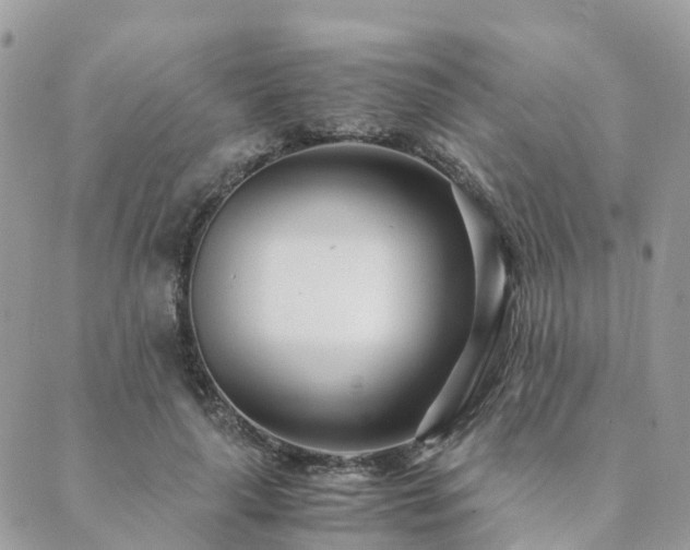 X0000089930643200706291159