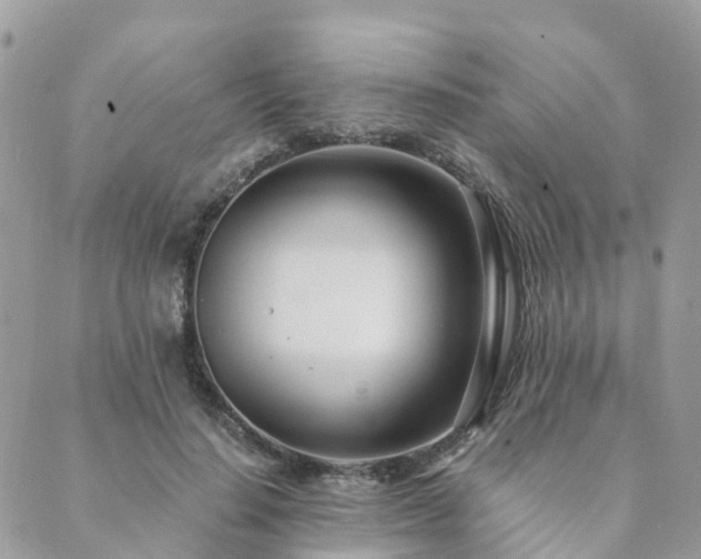 X0000089930644200706291159