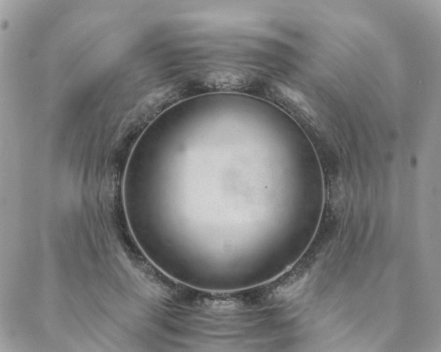 X0000089930645200706291159