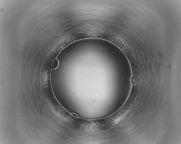 X0000089930646200706291159