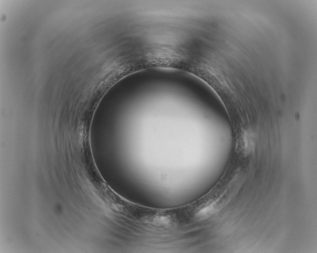 X0000089930647200706291159