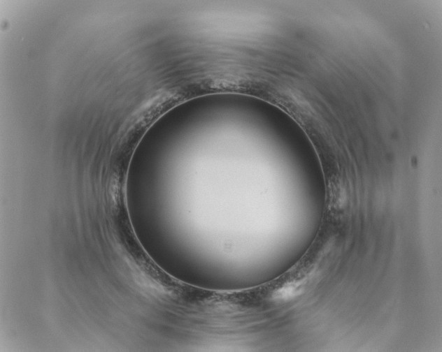 X0000089930648200706291159