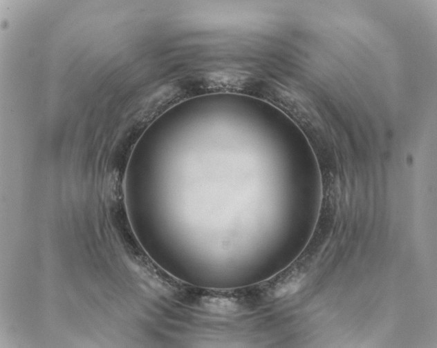 X0000089930649200706291159