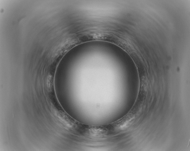 X0000089930650200706291159