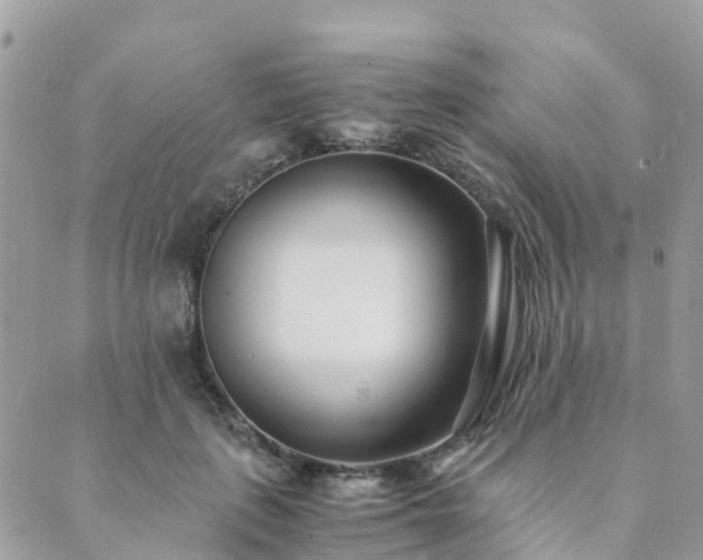 X0000089930651200706291159