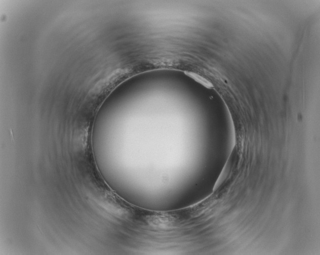 X0000089930652200706291159