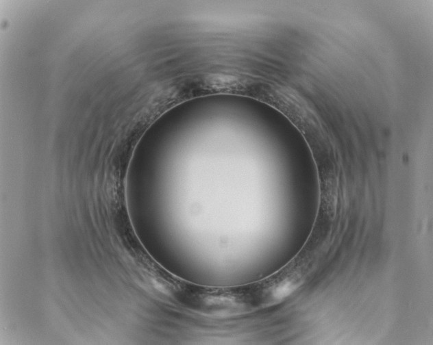 X0000089930653200706291159