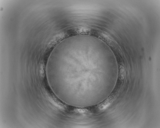 X0000089930654200706291159