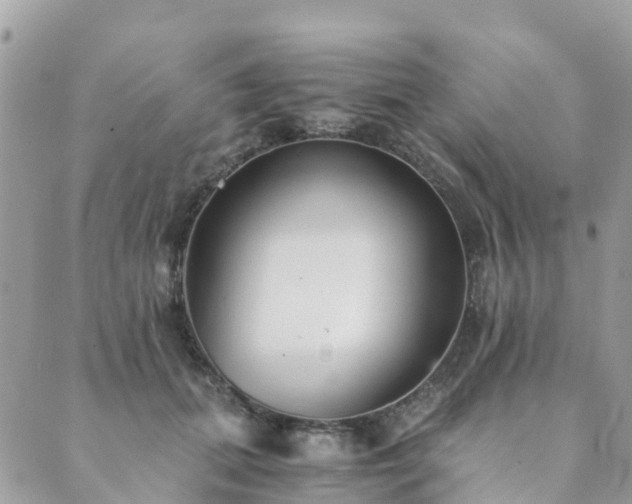 X0000089930655200706291159