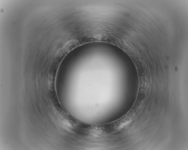 X0000089930656200706291159