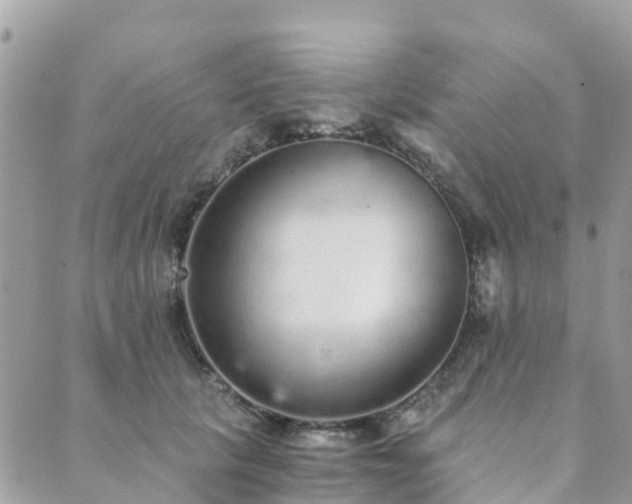 X0000089930657200706291159