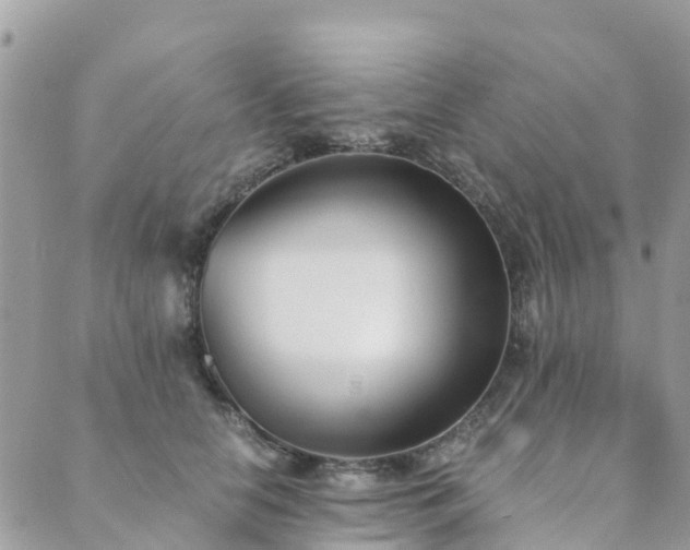 X0000089930658200706291159