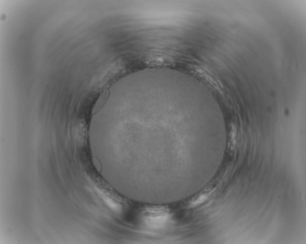 X0000089930659200706291159