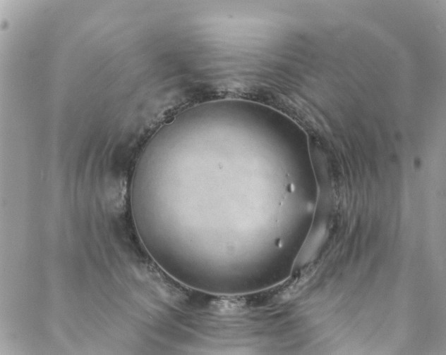 X0000089930660200706291159