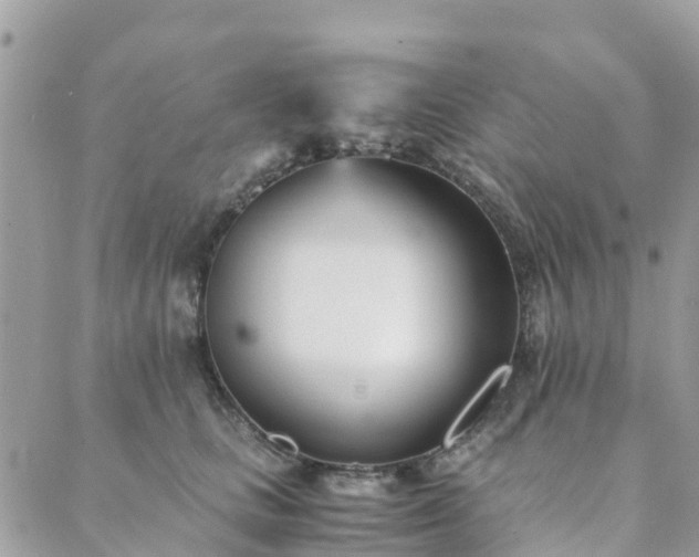 X0000089930661200706291159