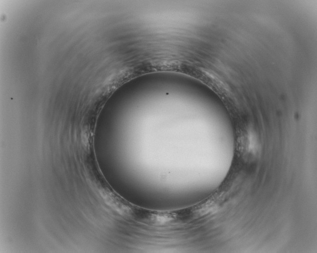 X0000089930662200706291159