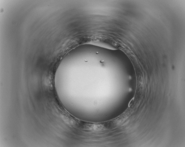 X0000089930663200706291159