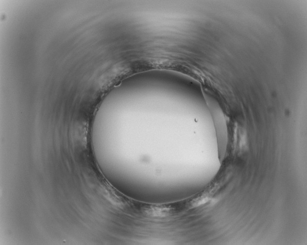 X0000089930664200706291159