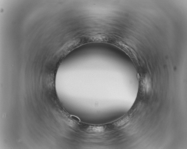 X0000089930665200706291159