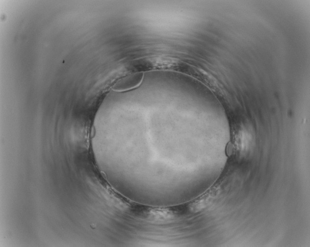 X0000089930666200706291159