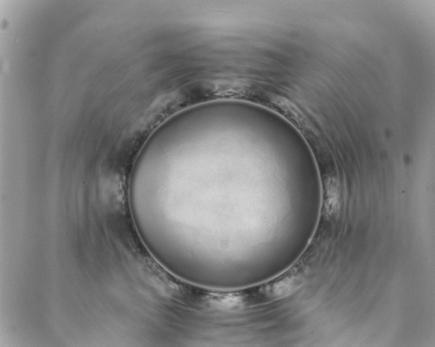 X0000089930667200706291159