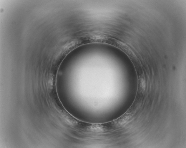 X0000089930668200706291159