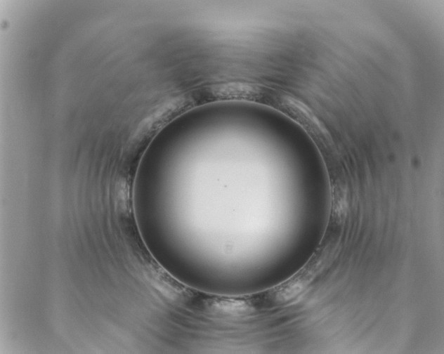 X0000089930669200706291159