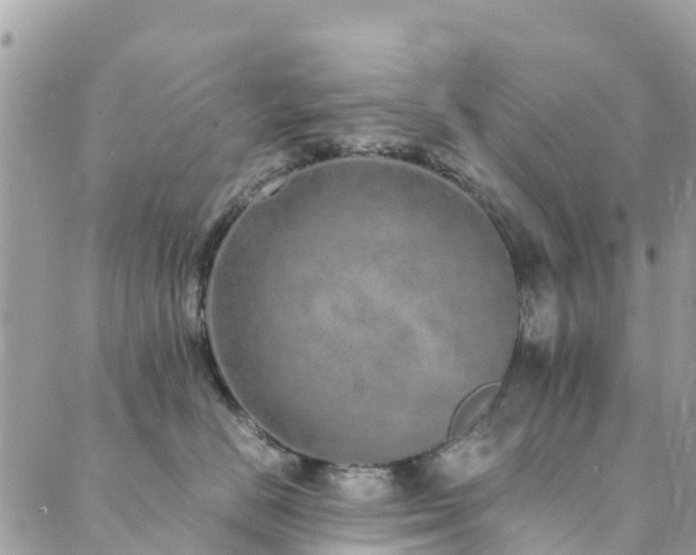 X0000089930670200706291159